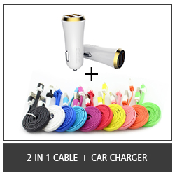 2 In 1 Cable + Car Charger